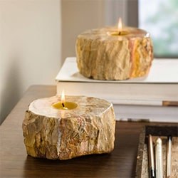 Romantic Gifts For Her Fossil Tea Light Candle Holder