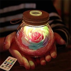 Unique Gifts For Women Rose Light Bottle