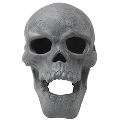 Gift Ideas For Brother Fire Pit Skull