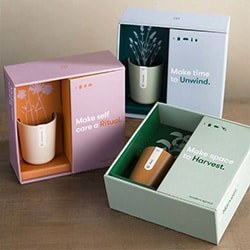 Gift Ideas For Friends Birthday Mood Plant Gift Box