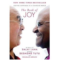 Gifts For Spiritual People The Book Of Joy