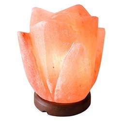 Gifts For Spiritual Person Lotus Salt Lamp