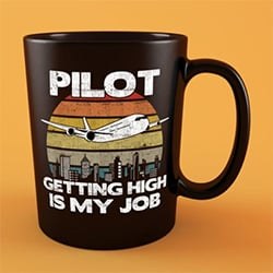 Best Gifts For A Pilot Funny Mug