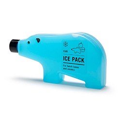 Creative White Elephant Gift Ideas Ice Pack