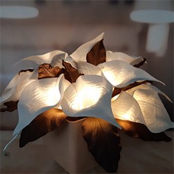 Unique Gifts For Sister In Law Lily Flower Lamp
