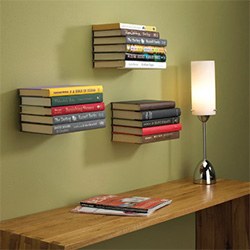 Gifts For Bookworms Conceal Book Shelf