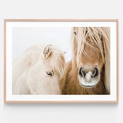 Horse Themed Gifts Wall Art