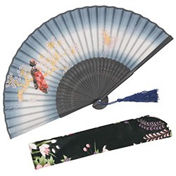 Japanese Gift Ideas Silk Fan