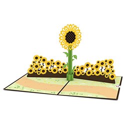 Sunflower Gift 3D Pop Card