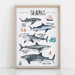 Shark Gift Ideas Nursery Print