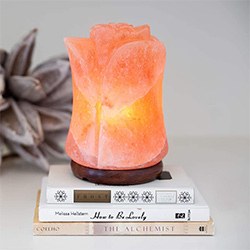 Amazing Self Care Gifts Himalayan Salt Lamp