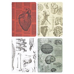 Best Gifts For Aspiring Doctors Notebooks