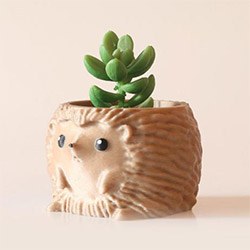 Cool Hedgehog Gifts Planter