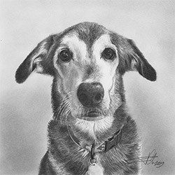 Cool His Hers Gifts Pet Portrait