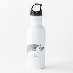 Creative Hedgehog Themed Gifts Water Bottle