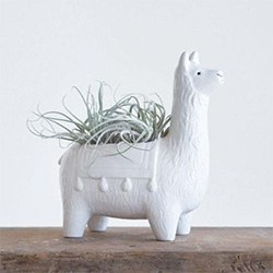 Fun Gifts For Llama Lovers Planter Pot