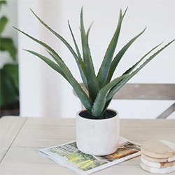 Gifts For Seniors Faux Plant