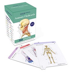 Medical School Graduation Gift Anatomy Flash Cards