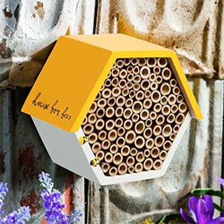 Amazing Bee Gifts Bee Hive