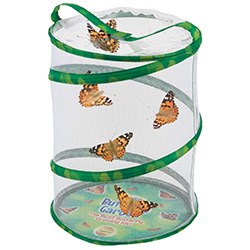 Amazing Butterfly Presents Growing Kit