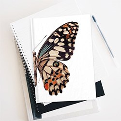 Amazing Butterfly Presents Journal