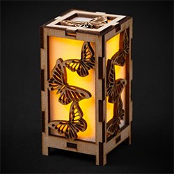 Amazing Butterfly Presents Lantern