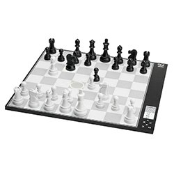 Cool Chess Sets Computer