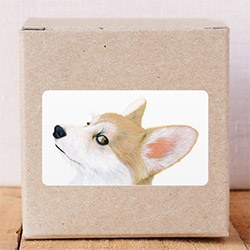 Gifts For Corgi Lovers Stickers