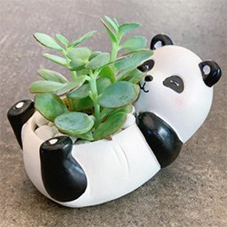 Cool Panda Gifts Planter