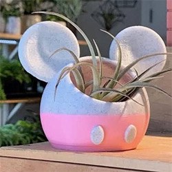 Cute Gifts For Teen Girls Planter