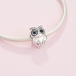 Cute Owl Gifts Charm
