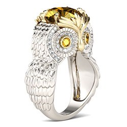 Cute Owl Gifts Ring