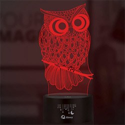 Delightful Owl Gift Ideas 3D Lamp