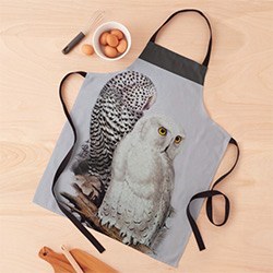 Delightful Owl Gift Ideas Apron