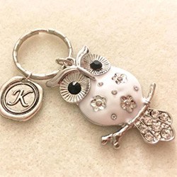 Delightful Owl Gift Ideas Keyring