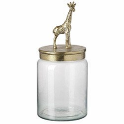Fun Giraffe Gift Ideas Decorative Jar