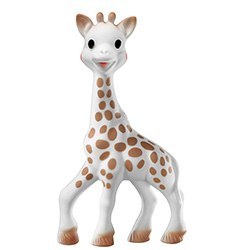 Fun Giraffe Gift Ideas Teething Toy