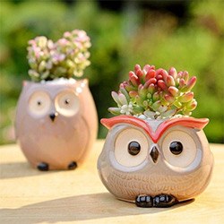 Gifts For Owl Lovers Planter
