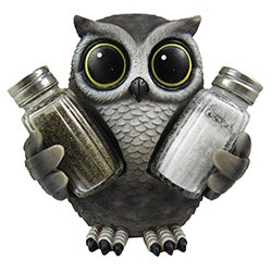 Gifts For Owl Lovers Shaker Set