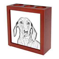 Cool Dachshund Themed Gifts Pencil Case