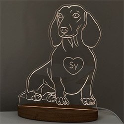 Delightful Dachshund Gifts 3D Lamp