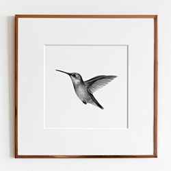 Beautiful Hummingbird Presents Art Print