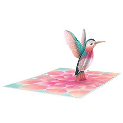 Cool Hummingbird Gifts Card