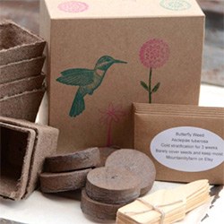 Cool Hummingbird Gift Box