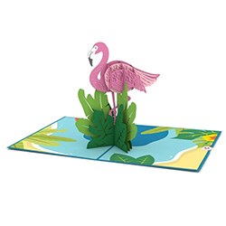 Cool Flamingo Themed Gifts Card
