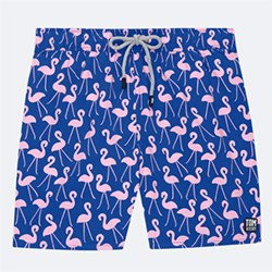 Cool Flamingo Themed Gifts Swim Trunks