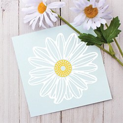 Amazing Daisy Themed Gifts Decal