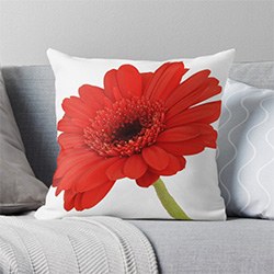 Beautiful Daisy Gift Ideas Throw Pillow