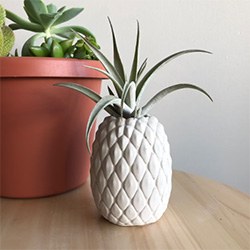 Best Pineapple Gift Ideas Planter