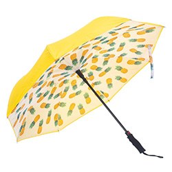 Best Pineapple Gift Ideas Umbrella